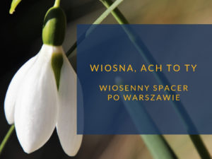 Wiosna Warszawa cover photo
